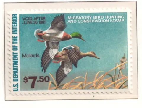 1980 Federal Duck Stamp – Stockenten