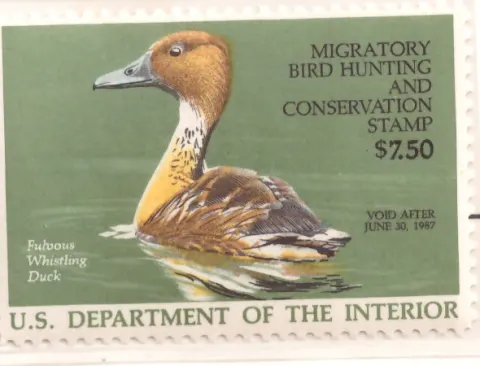 1986 Federal Duck Stamp – Fulvous Whistling Duck