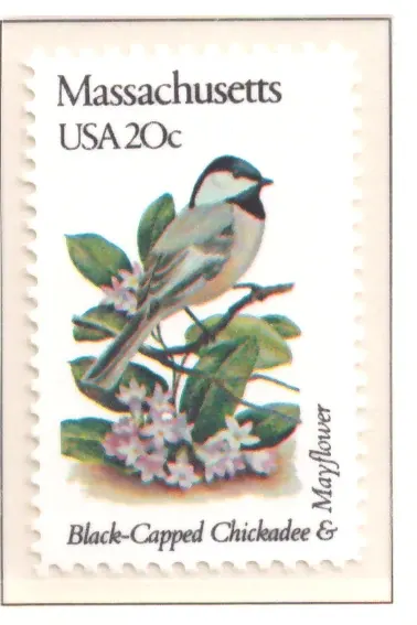 1982: Vögel und Blumen - Massachusetts
