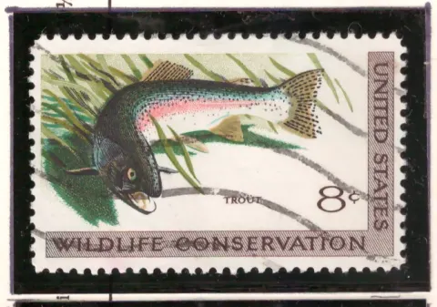 Wildtierschutz — Forellen