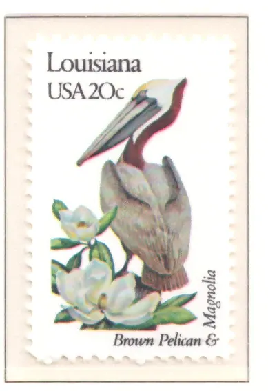 1982: Vögel und Blumen - Louisiana