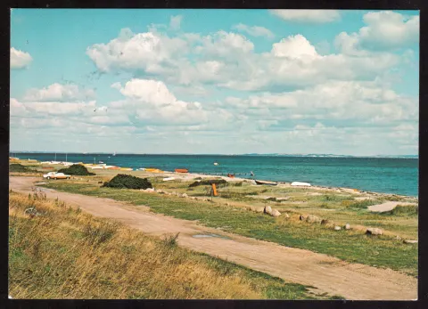 Dänische Strandlandschaft mit Dünen