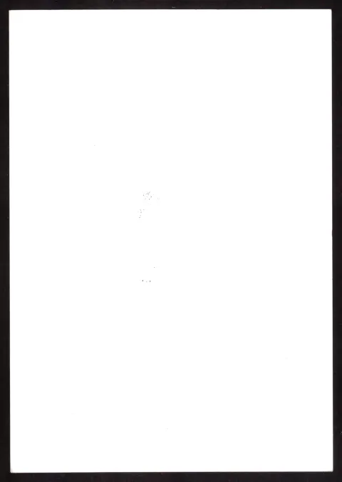 Werbepostkarte für Tokajer Wein