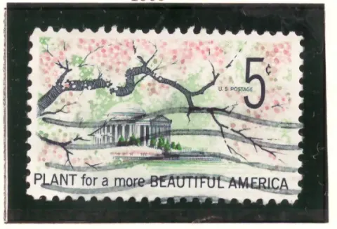 Beautify America – Kirschblüten und Jefferson Memorial