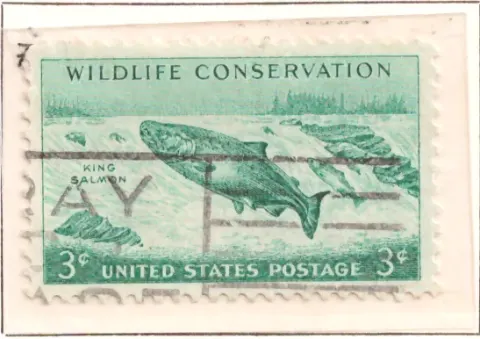 Wildlife Conservation – Königlachs