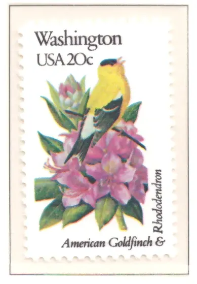 1982: Vögel und Blumen - Washington