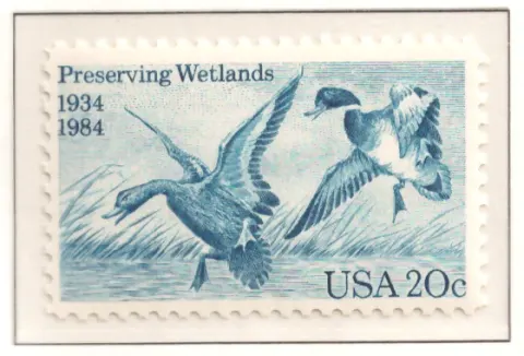 1984 Preserving Wetlands
