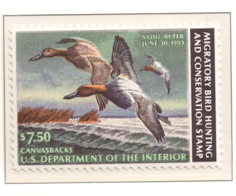 1982 Federal Duck Stamp – Canvasbacks