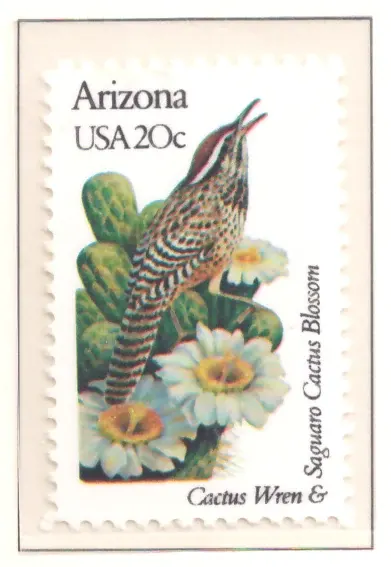 1982: Vögel und Blumen - Arizona