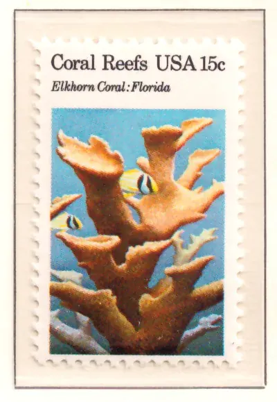 Coral Reefs elkhorn ar ar ar ar ar, ar, all florida