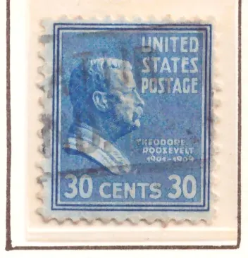 Präsidenten-Serie - Theodore Roosevelt