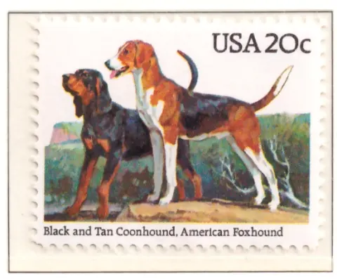 1984 Hunde - Coonhound und Foxhound