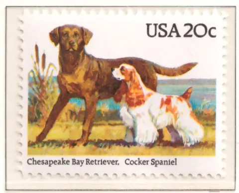 1984 Hunde - Retriever und Cocker Spaniel