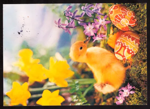 Ostergruß mit Hase und bemalten Eiern