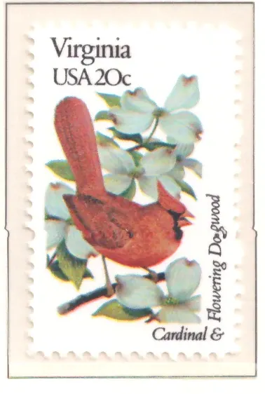1982: Vögel und Blumen - Virginia