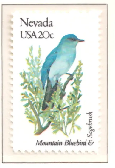 1982: Vögel und Blumen - Nevada
