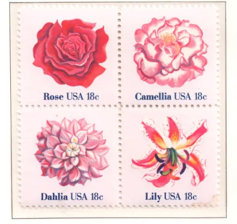 American Flowers Block von vier