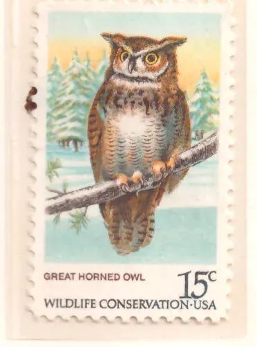 Wildlife Conservation – Great Horned Owl