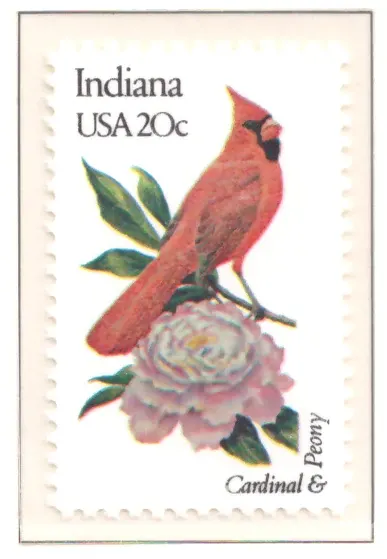 1982: Vögel und Blumen - Indiana