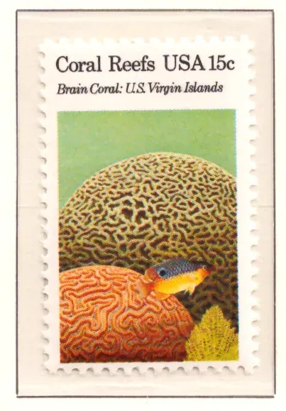 Coral Reefs… Вирджински острови