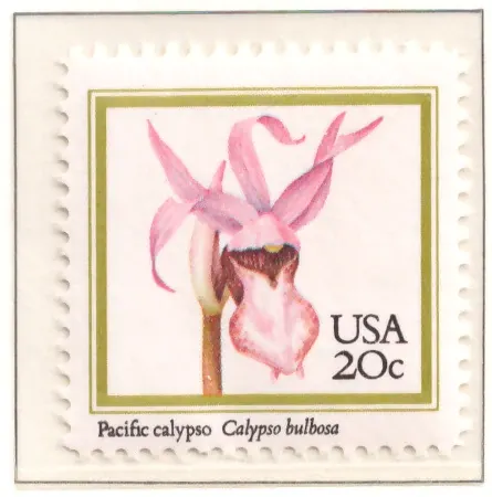 1984 Orchideen - Pacific Calypso