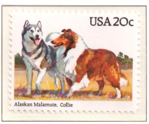 1984 Hunde - Alaskan Malamute und Collie