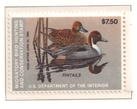 1983 Federal Duck Stamp – Pintails