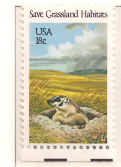 Save Grassland Habitats