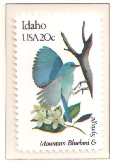1982: Vögel und Blumen – Idaho