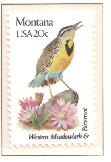 1982: Vögel und Blumen - Montana