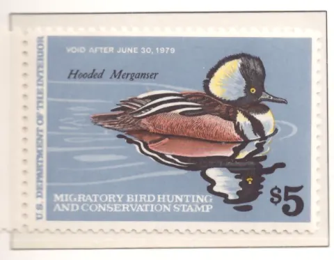 1978 Federal Duck Stamp – Hooded Merganser