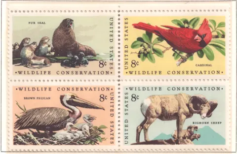 Wildlife Conservation – Viererblock