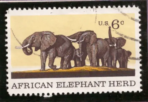 Naturgeschichte – Afrikanische Elefantenherde