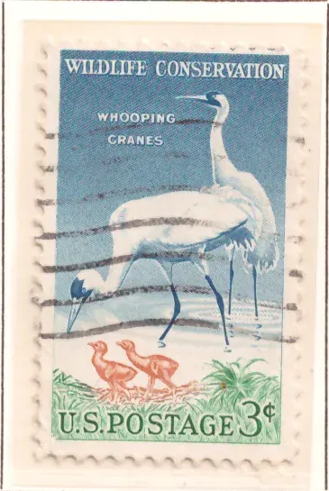 Wildlife Conservation – Keuchkrane