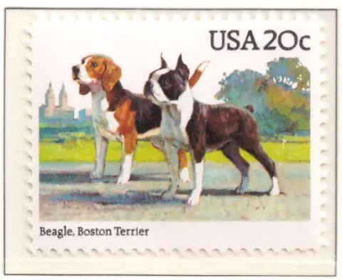 1984: Hunde – Beagle und Boston Terrier