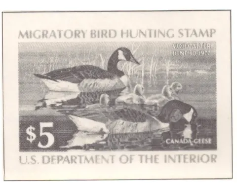 1976 Federal Duck Stamp – Kanadagänse