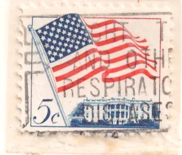 Amerikanische Flagge über Weißes Haus