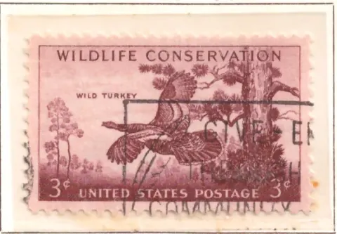 Wildlife Conservation – Wilde Türkei