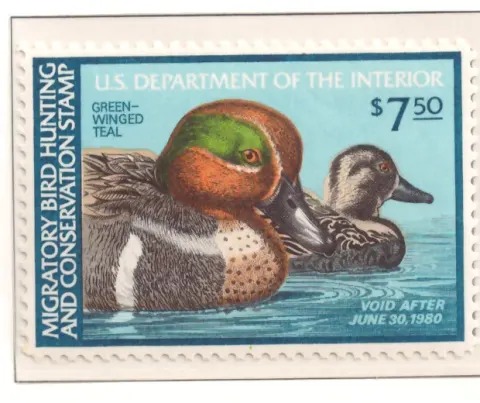 1979 Federal Duck Stamp – Grünflügel-Teal