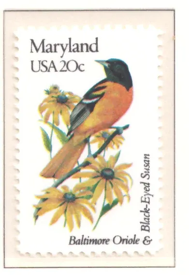 1982: Vögel und Blumen - Maryland