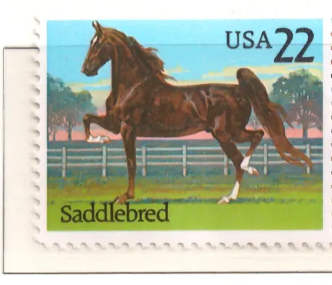 1985 American Horses – Saddlebred