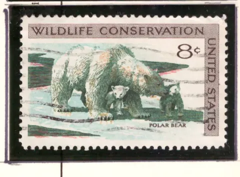 Wildlife Conservation – Eisbär und Jungtier