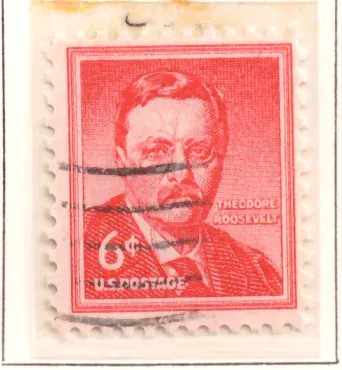 Theodore Roosevelt – Freiheitsfrage