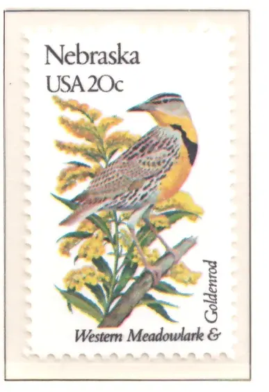1982: Vögel und Blumen – Nebraska