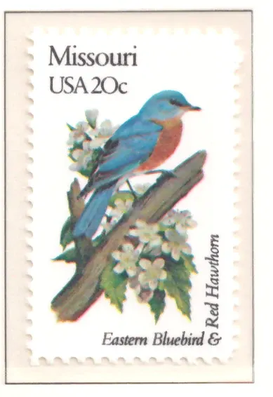 1982: Vögel und Blumen - Missouri