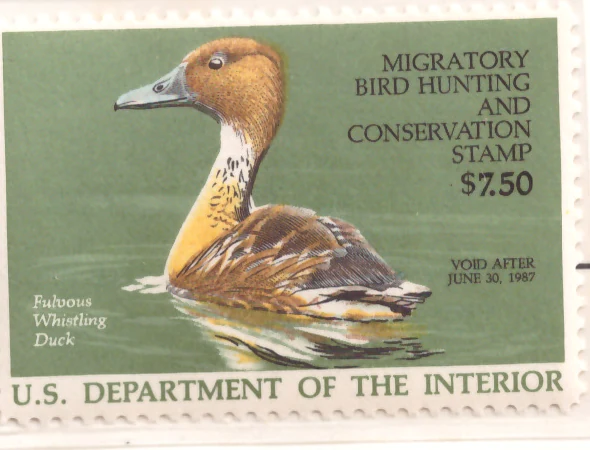 1986 Federal Duck Stamp – Fulvous Whistling Duck