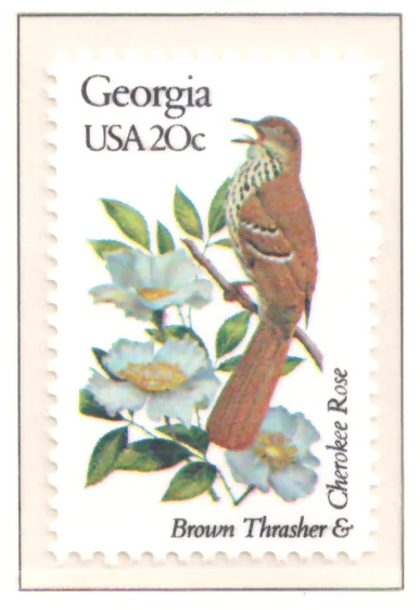 1982: Vögel und Blumen – Georgia