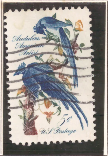 John James Audubon – Columbia Jays
