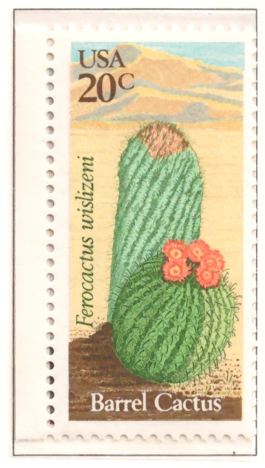 Desert Plants — Barrel Cactus