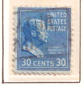 Presidential Series – Theodore Roosevelt